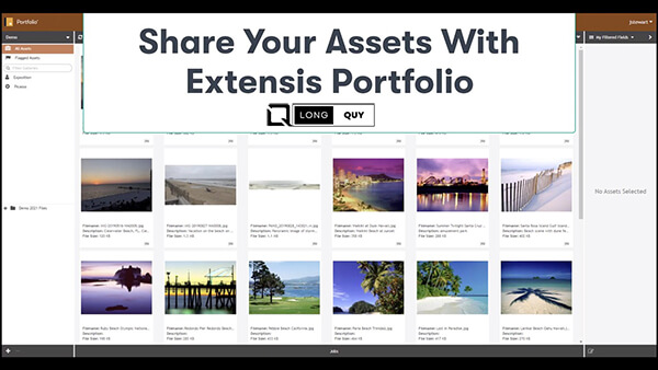 Extensis Portfolio Reviews